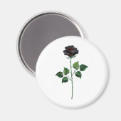 Aimant Fleur rose noire (Recto/Verso)
