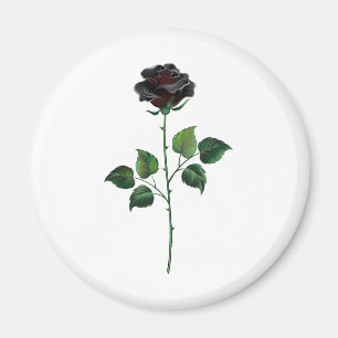 Aimant Fleur rose noire