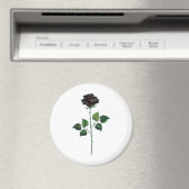 Aimant Fleur rose noire (In Situ (Lave-vaisselle))