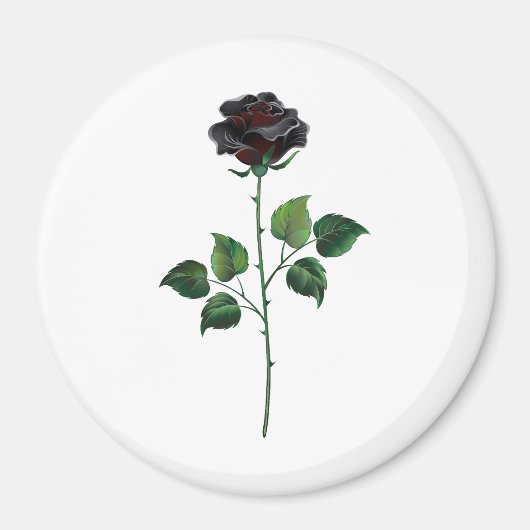 Aimant Fleur rose noire (Devant)