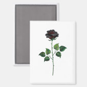 Aimant Fleur rose noire (Recto/Verso)