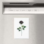 Aimant Fleur rose noire (In Situ (Lave-vaisselle))