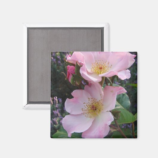 Aimant Fleur Rose rose (Recto/Verso)