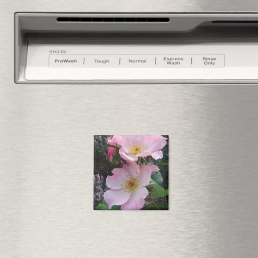 Aimant Fleur Rose rose (In Situ (Lave-vaisselle))