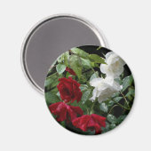 Aimant Fleur Rose trempée (Recto/Verso)