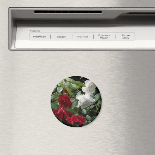 Aimant Fleur Rose trempée (In Situ (Lave-vaisselle))