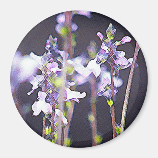 Aimant Fleur sauvage (Devant)