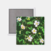 AIMANT FLEUR SAUVAGE (Recto/Verso)