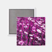 AIMANT FLEUR SAUVAGE (Recto/Verso)