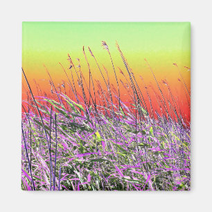 AIMANT FLEUR SAUVAGE