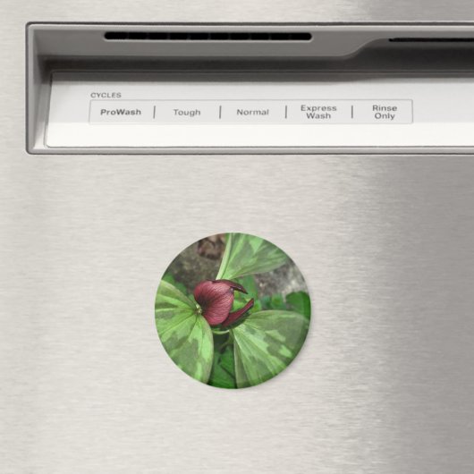 Aimant Fleur sauvage (In Situ (Lave-vaisselle))