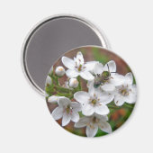 Aimant Fleur sauvage blanc et vol d'abeille (Recto/Verso)