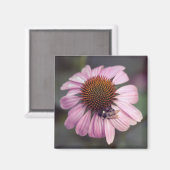 Aimant Fleur sauvage - Confleur pourpre / Echinacea (Recto/Verso)