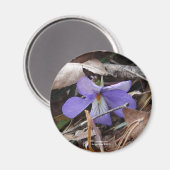 Aimant Fleur sauvage Oiseaux-Pied Violet Sources thermale (Recto/Verso)