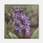 Aimant Fleur sauvage : Orchidées violettes précoces (Devant)