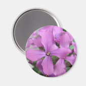 Aimant Fleur sauvage pourpre (Recto/Verso)