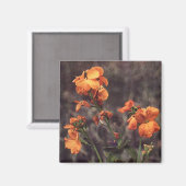 Aimant Fleur sauvage : Wallflower (Recto/Verso)