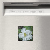 Aimant Fleur tropicale blanche trouvée à Fidji (In Situ (Lave-vaisselle))