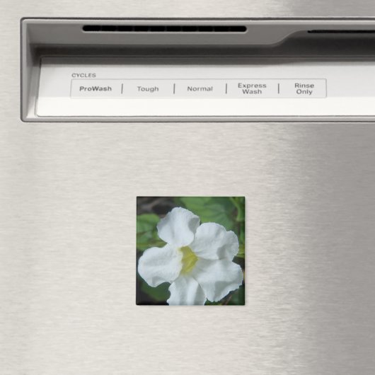 Aimant Fleur tropicale blanche trouvée à Fidji (In Situ (Lave-vaisselle))