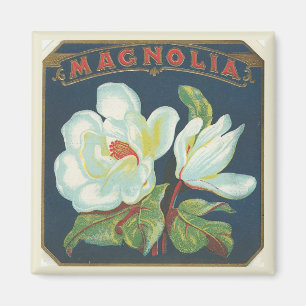 Aimant Fleur vintage de magnolia