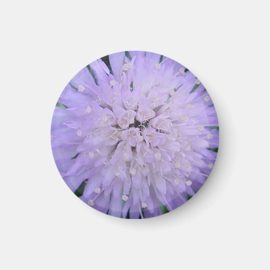 Aimant Fleur violette (Devant)