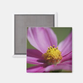 Aimant Fleur violette (Recto/Verso)