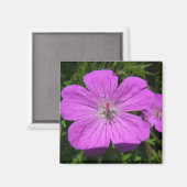 Aimant fleur violette (Recto/Verso)