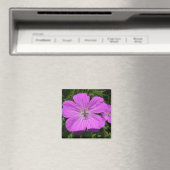 Aimant fleur violette (In Situ (Lave-vaisselle))