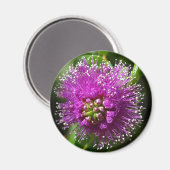 aimant fleur violette (Recto/Verso)