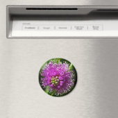aimant fleur violette (In Situ (Lave-vaisselle))