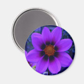 Aimant Fleur violette à Dusk (Recto/Verso)