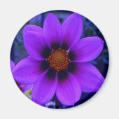 Aimant Fleur violette à Dusk (Devant)