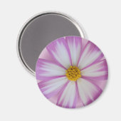 Aimant Fleur violette claire (Recto/Verso)