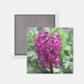 Aimant fleur violette de printemps (Recto/Verso)
