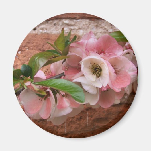 AIMANT FLEURS (Devant)