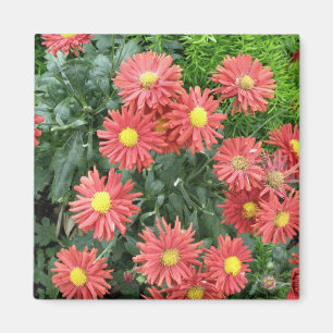 Aimant fleurs