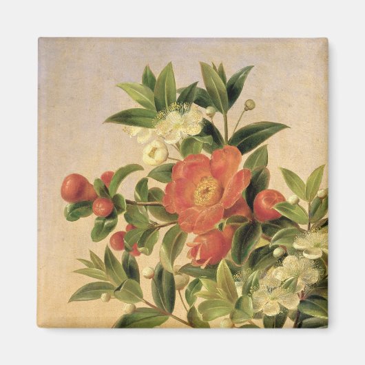 Aimant Fleurs, 1835 (Devant)