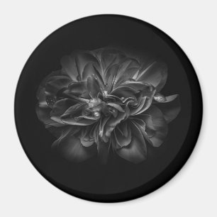 Aimant Fleurs 67 BW