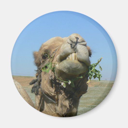 Aimant Fleurs à mâcher de chameau (Devant)