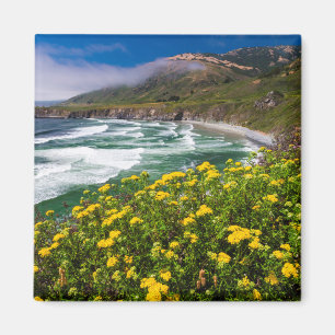 Aimant Fleurs au-dessus de la plage de Sand Dollar