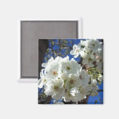 Aimant Fleurs blanches I Poirier ornemental (Recto/Verso)