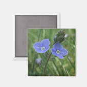 Aimant Fleurs Bleues (Recto/Verso)