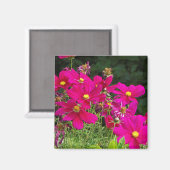 Aimant Fleurs Cosmo (Recto/Verso)
