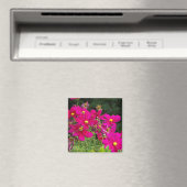 Aimant Fleurs Cosmo (In Situ (Lave-vaisselle))