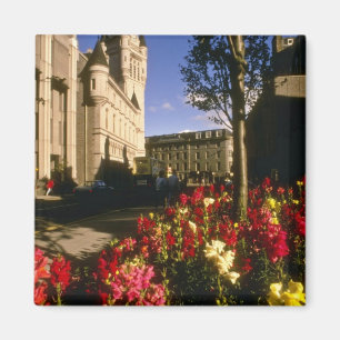 Aimant Fleurs d'Aberdeen