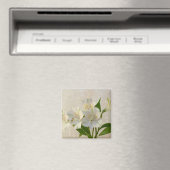 Aimant Fleurs d'Alstromeria Blanche (In Situ (Lave-vaisselle))