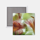 Aimant Fleurs dans la glace (Recto/Verso)
