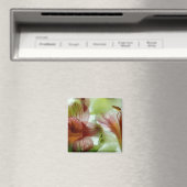 Aimant Fleurs dans la glace (In Situ (Lave-vaisselle))