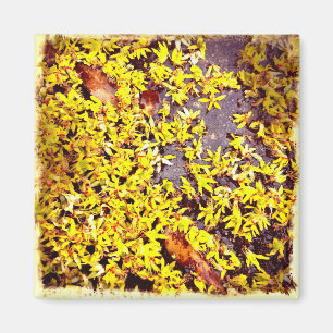 Aimant Fleurs d'art branchées sur le filtre Retro au sol