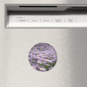 Aimant Fleurs d'aster violet (In Situ (Lave-vaisselle))